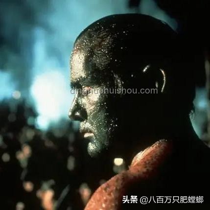 雨林奇遇：UP主荒野求生的创新冒险启示录,跨界生存挑战