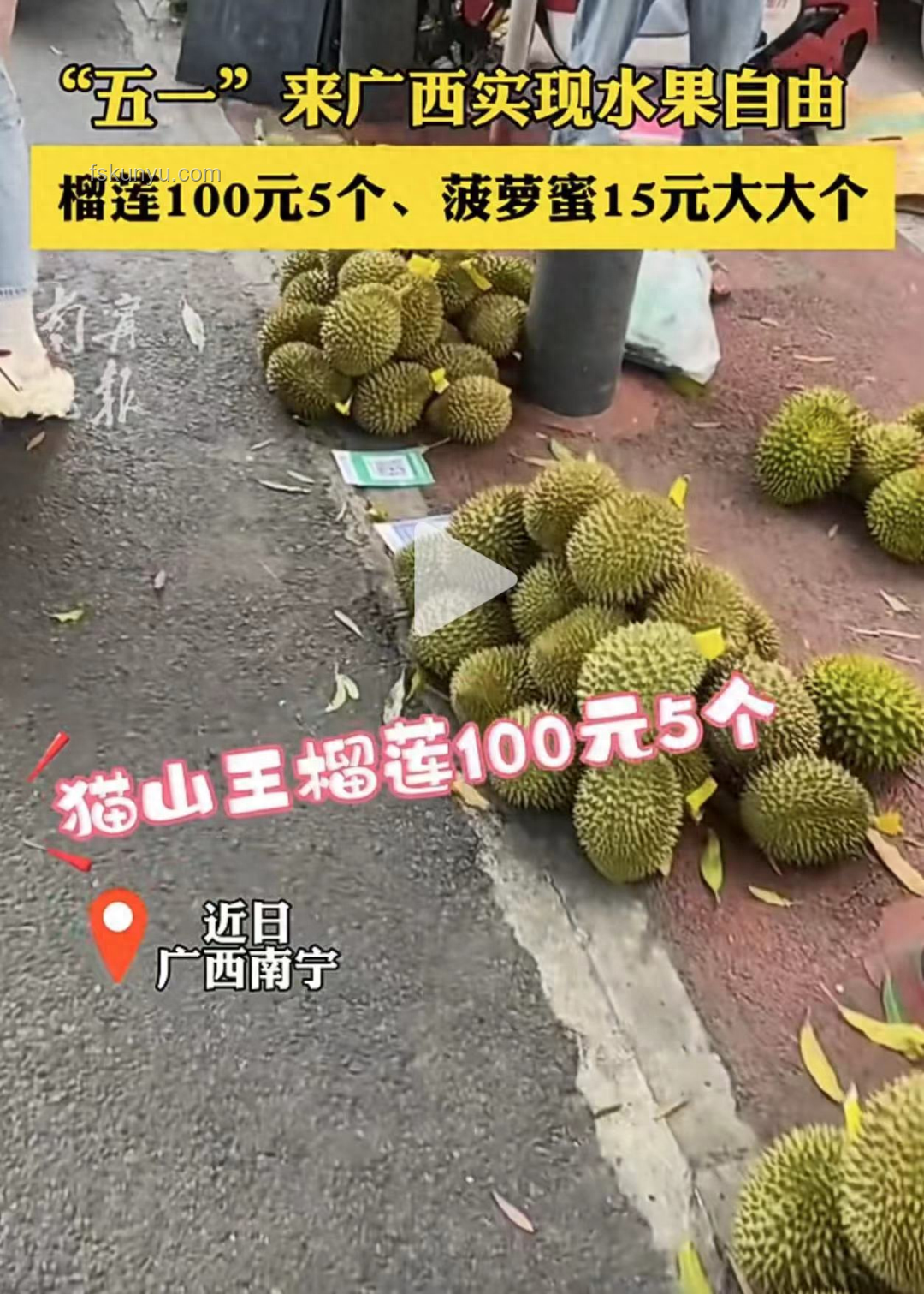 暴跌的榴莲：市场供需与价格波动的案例研究