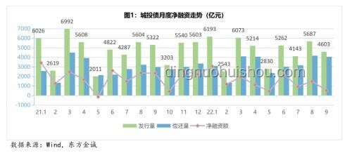 广西瓜田哄抢事件后的社会治理与法治趋势预测