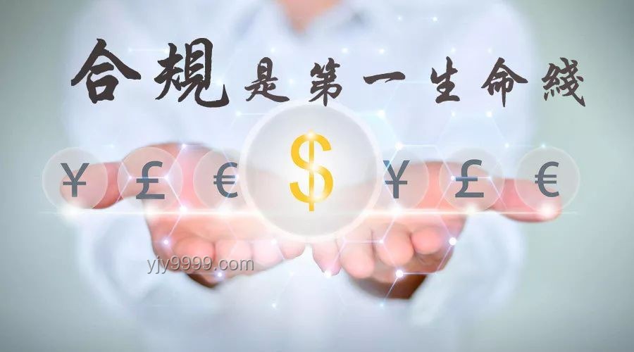 慎独探秘·情网金牢的创新深度解码