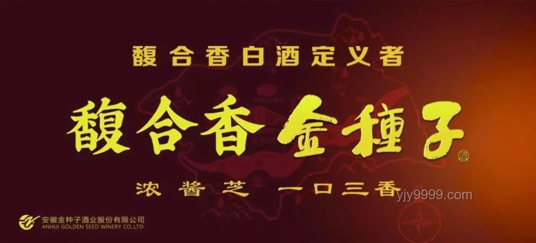 慎独探秘·情网金牢的创新深度解码