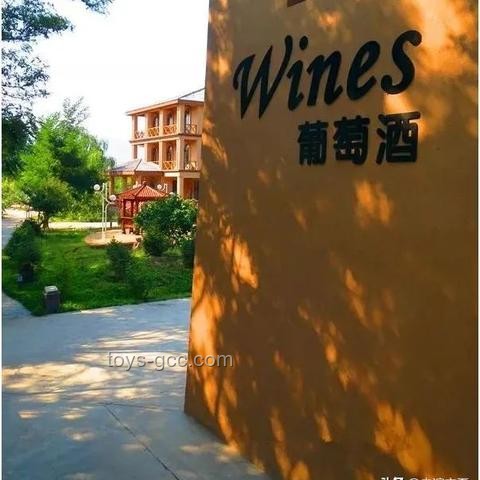 高考情感消费兴起：烧烤花香背后家庭教育新趋势
