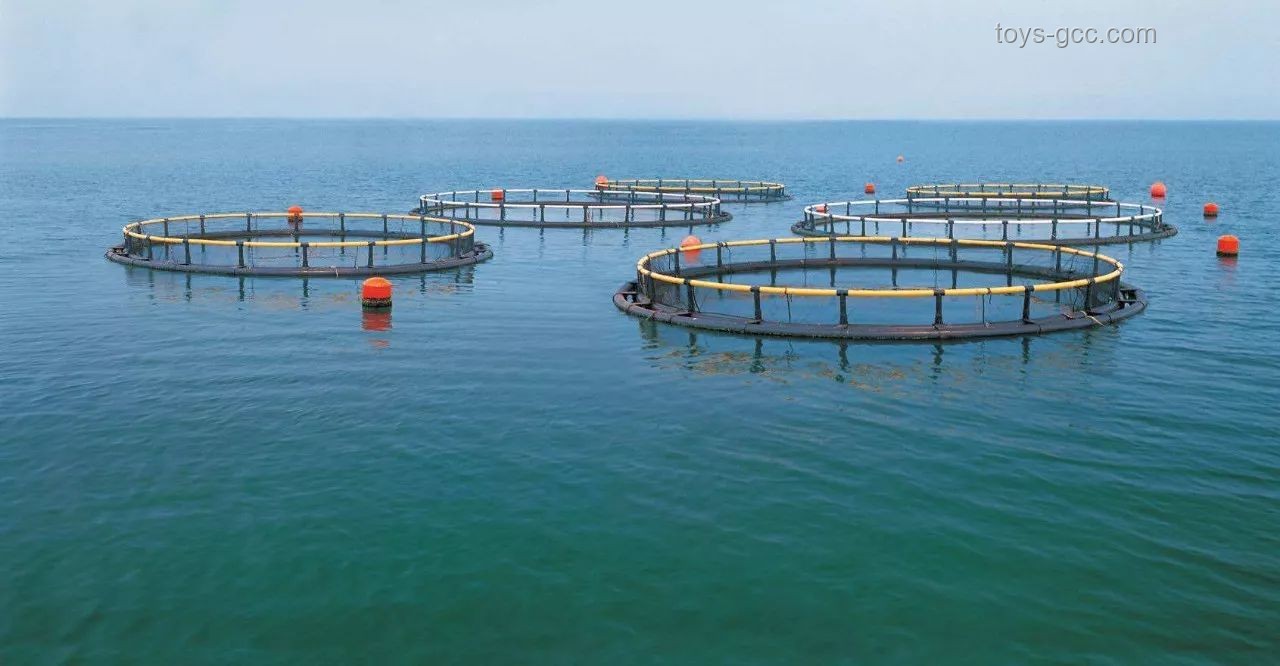 未名湖水售卖问题解决方案