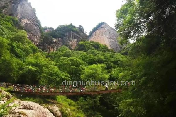 山东多个景区中高考生免费游玩政策对比分析
