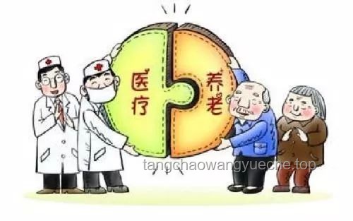 实习医生罗帅宇举报医疗腐败后坠亡，事件深度分析