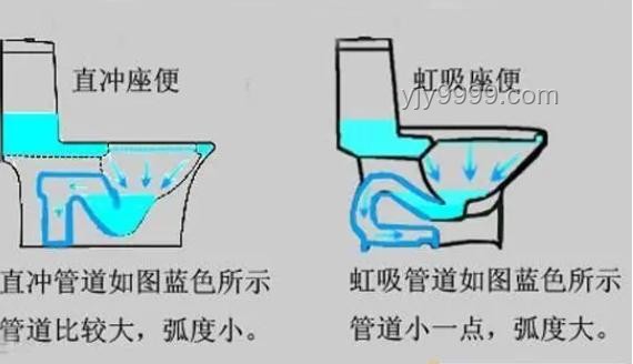 网红呼吁取消女厕马桶：卫生隐患与解决之道对比分析