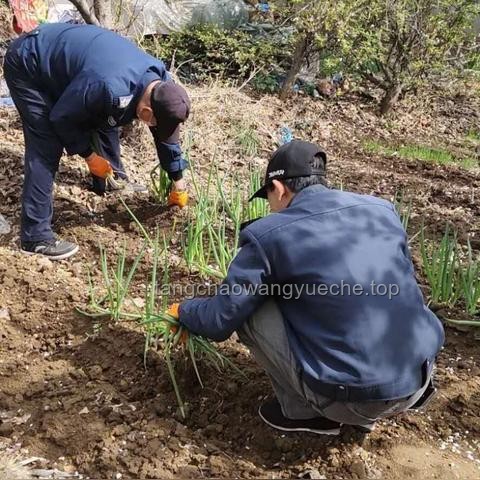入户大厅脚臭味难题：物业管理挑战与解决之道
